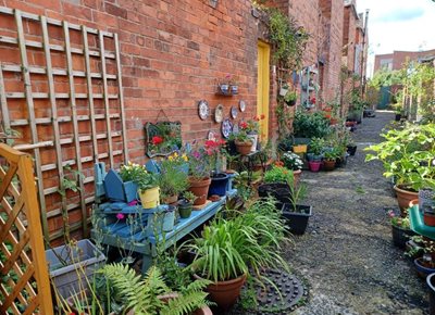 Colourful community garden within a Belfast alleyway.