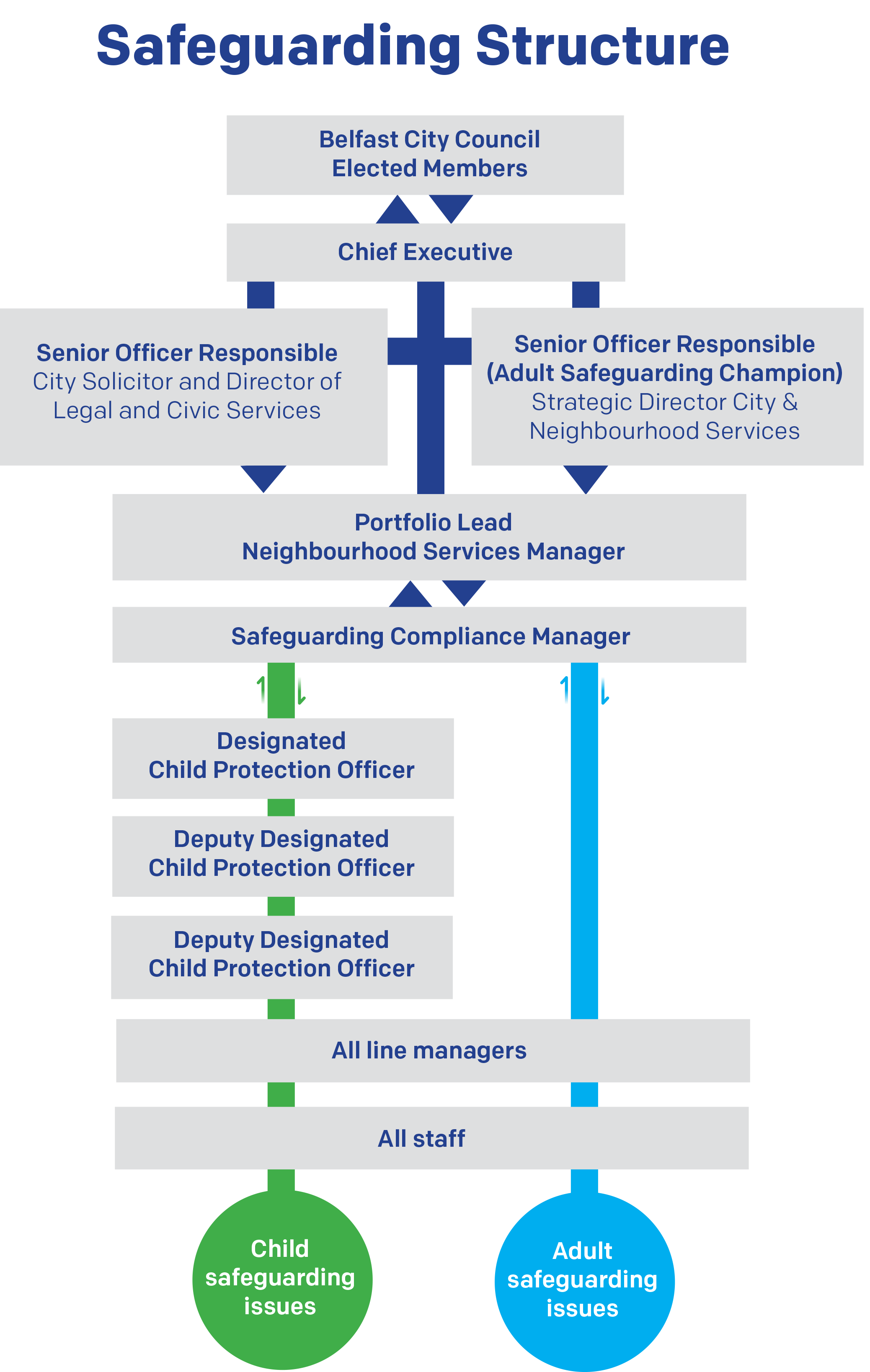 Nhs Safeguarding Flow Chart